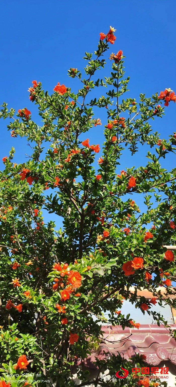 1705994567104625.jpg 640 (3).jpg