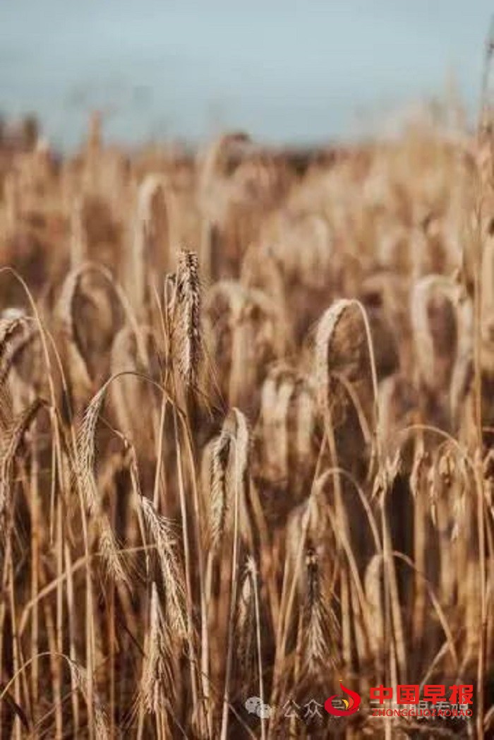 1705994595564688.jpg 640 (4).jpg