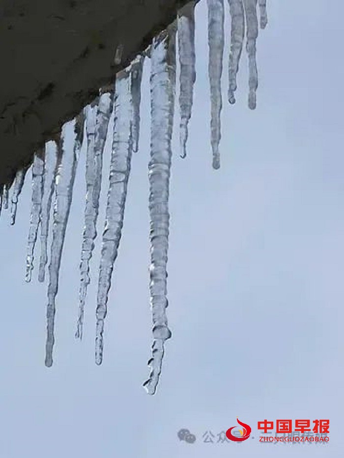 1705994617660040.jpg 640 (6).jpg