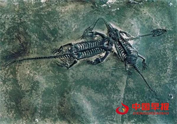 1707122107168699.jpg 111.jpg