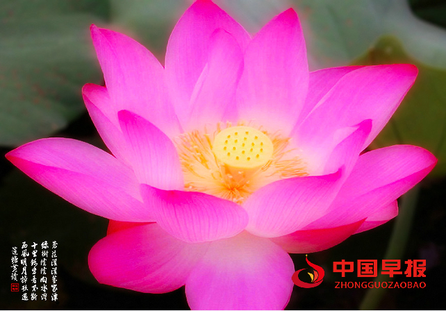 1708132259626058.png QQ图片20240217090534.png