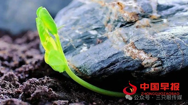 1710422906272540.jpg 640.jpg