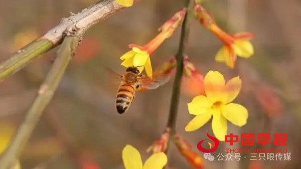 1710422932692262.jpg 640 (1).jpg