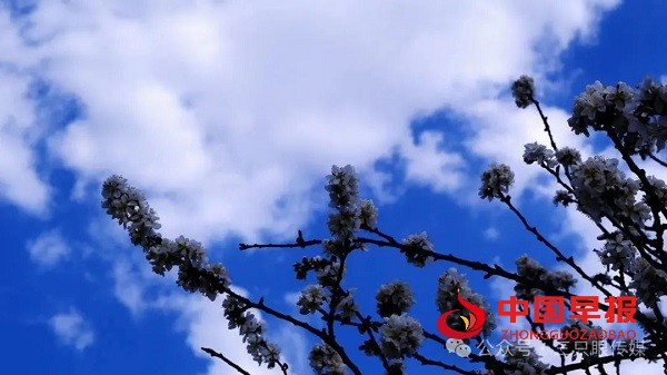 1710422951763746.jpg 640 (2).jpg