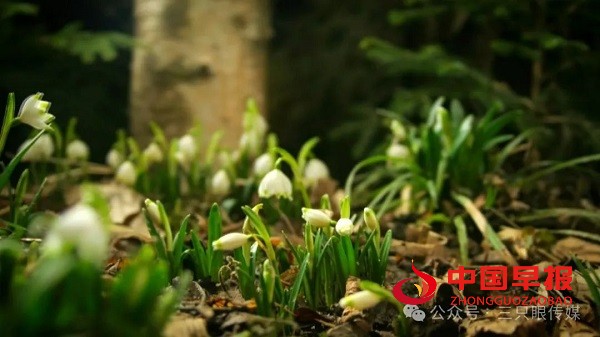 1710422976296567.jpg 640 (3).jpg