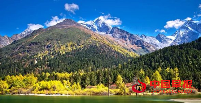 1711264427769691.png QQ图片20240324150931.png