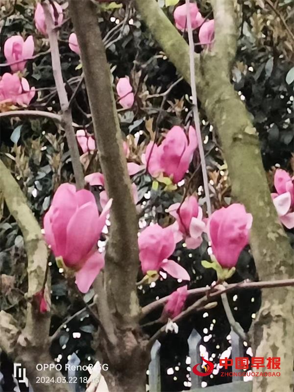 1711337941879957.jpg 333.jpg