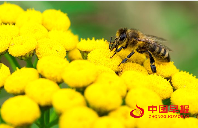 1711343535235897.png QQ图片20240325130313.png