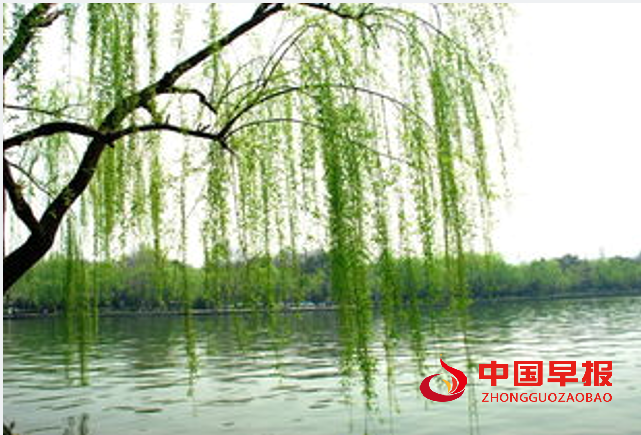 QQ图片20240616165833.png