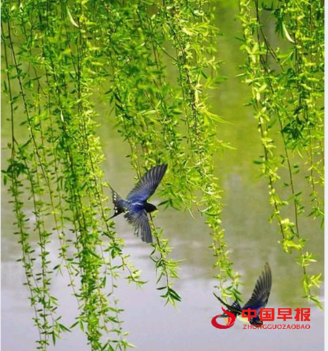QQ图片20240616165853.png