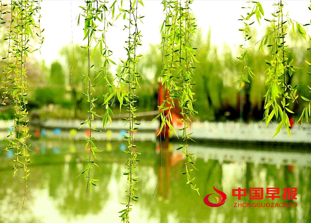 QQ图片20240616165933.png
