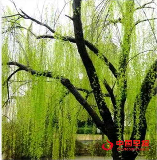 QQ图片20240616170037.png