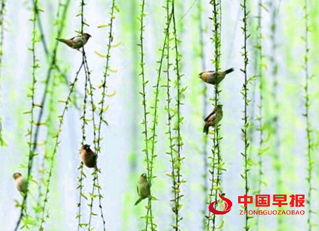 QQ图片20240616170124.png