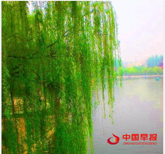 QQ图片20240616170145.png