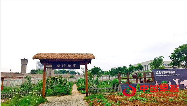 QQ图片20240617093050.png