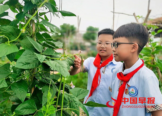 QQ图片20240617093319.png