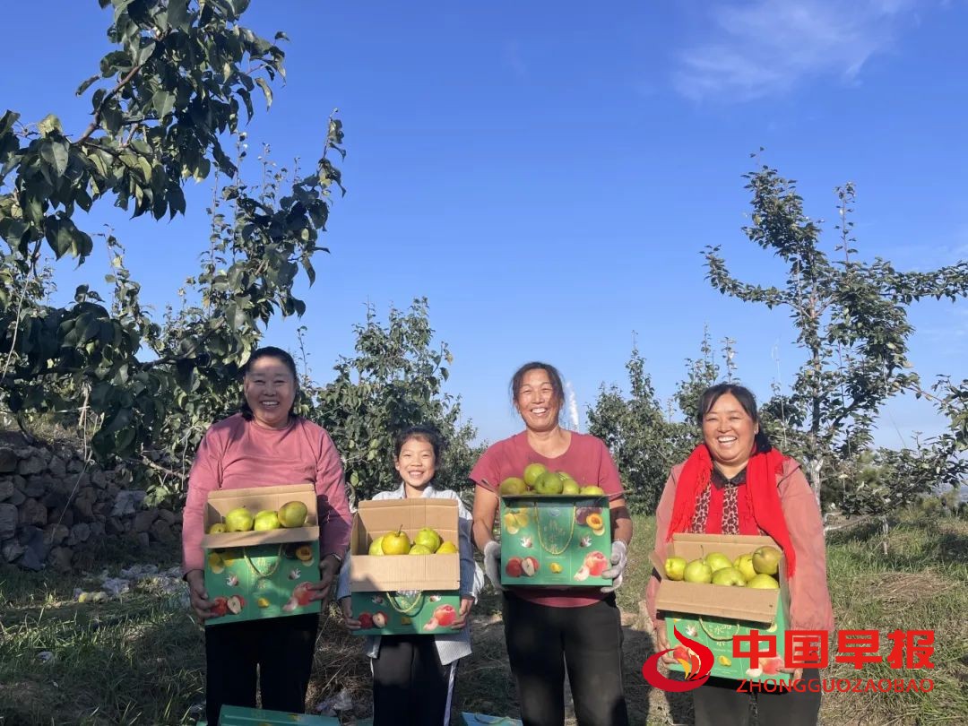 图片01.jpg