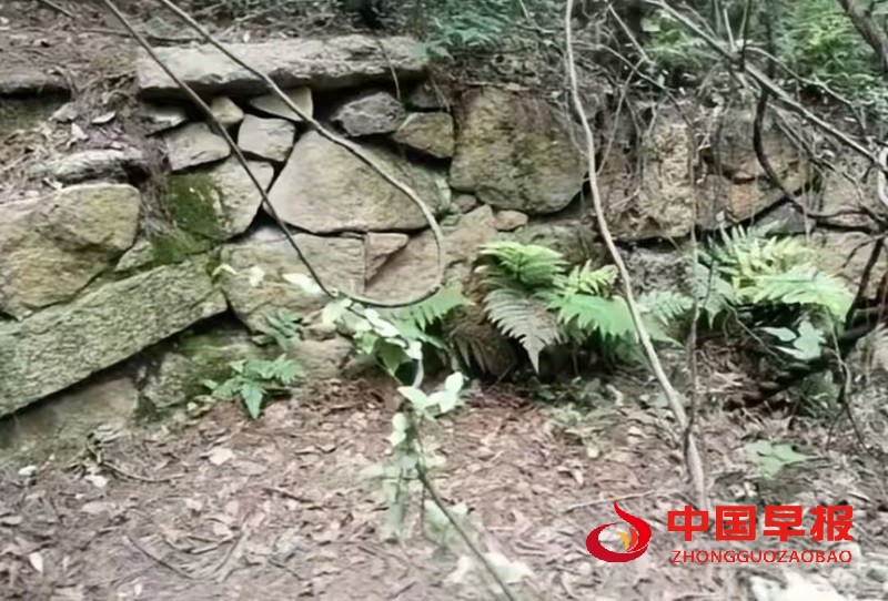 微信图片_20250713073224.jpg