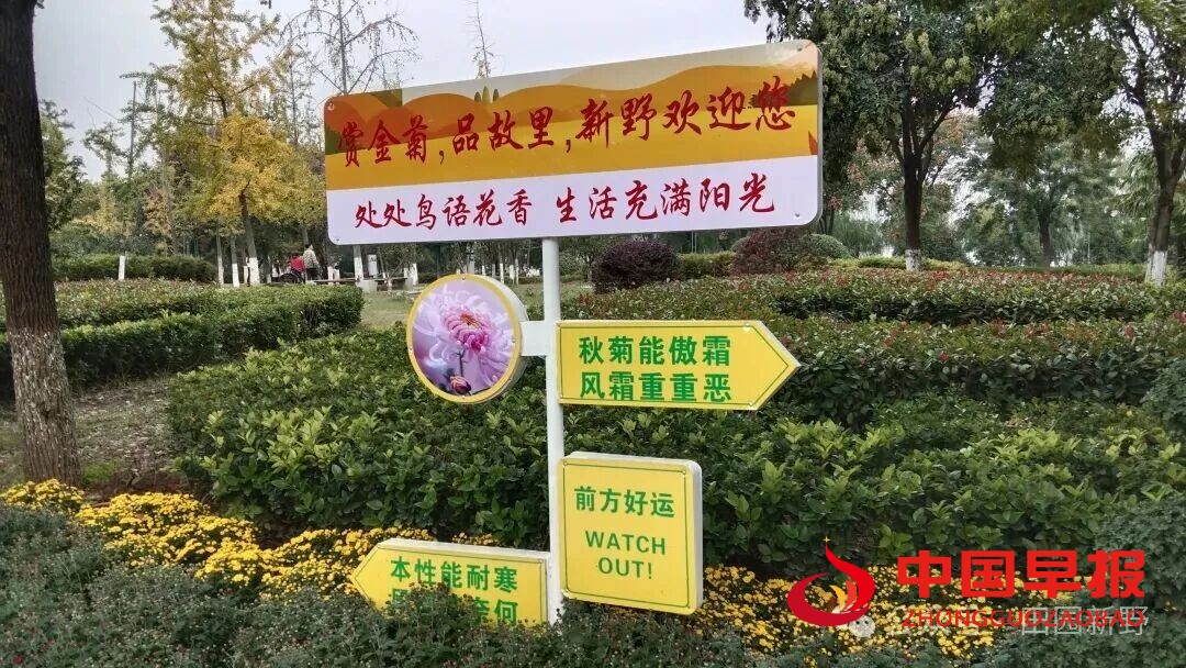 图片06.jpg