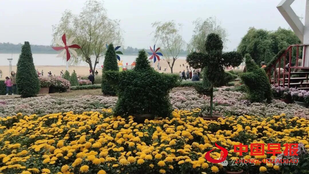 图片08.jpg