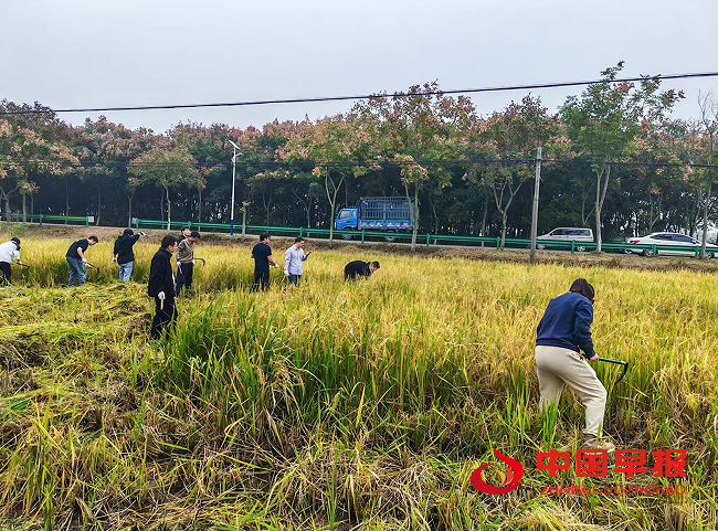 1762221240144569.png 1割谷.png