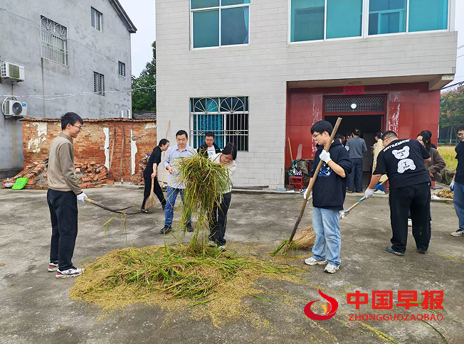 1762221272889575.png 3打谷.png