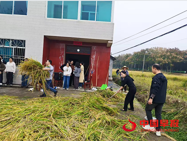 1762221292483736.png 4达谷.png