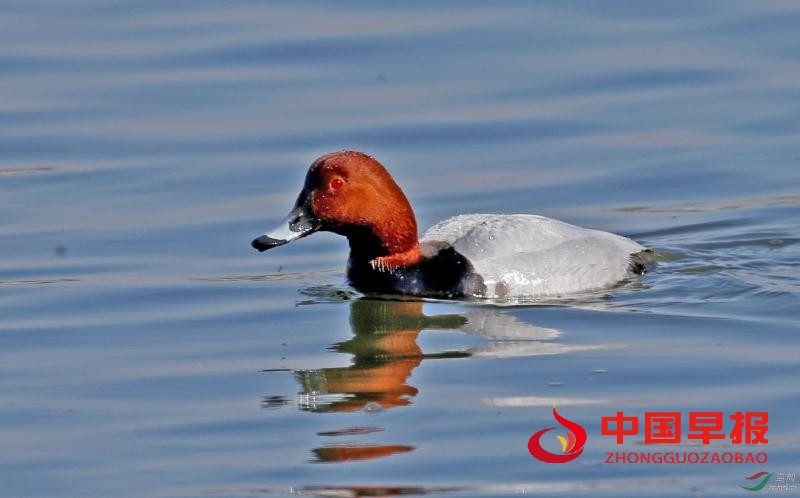 1608531135169125.jpg QQQ.jpg