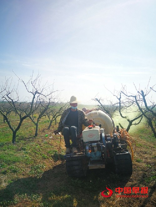 1613520147187275.jpg 黄龙刘贵先夫妇冬桃园里忙喷洒药物2.jpg