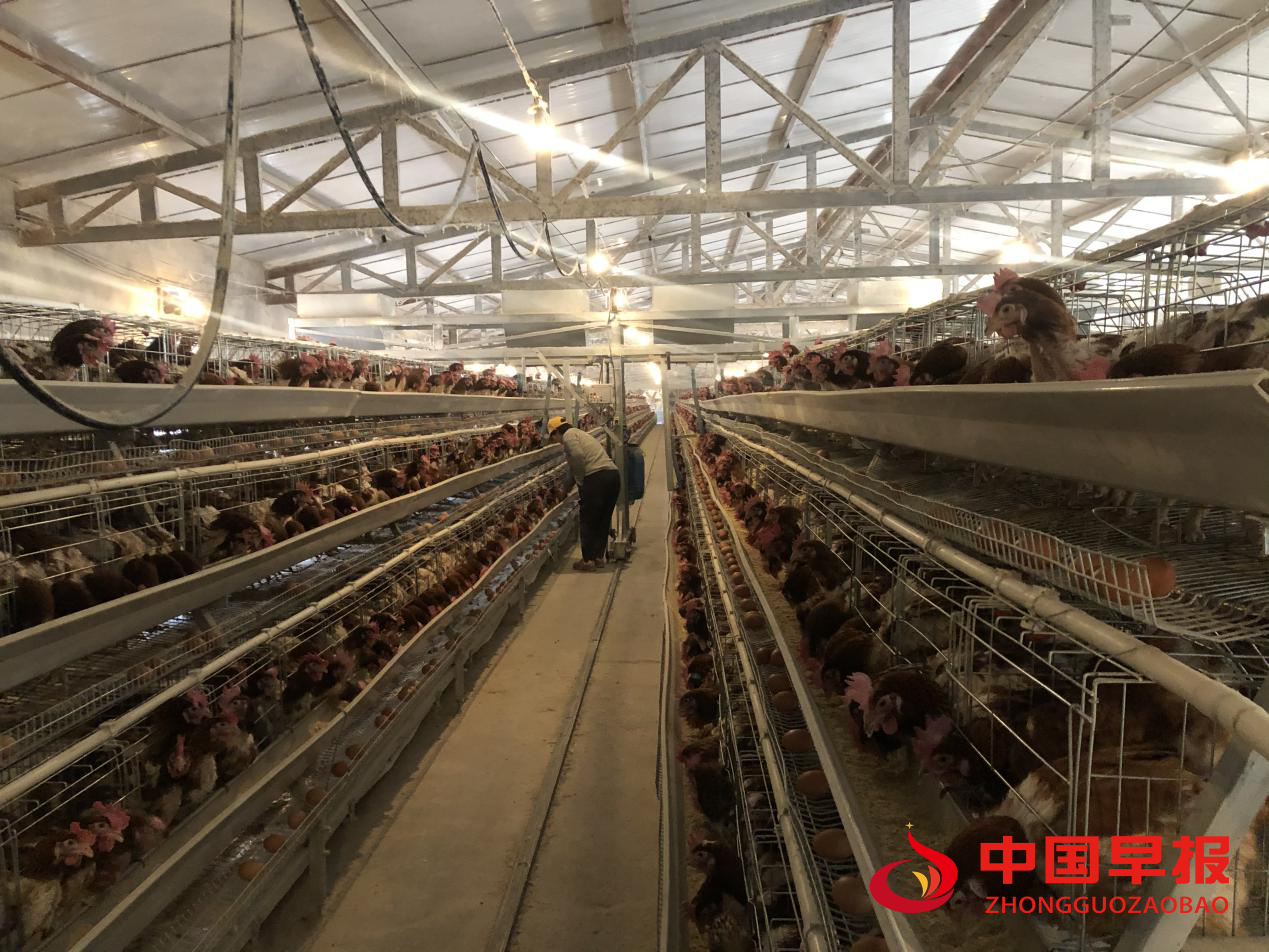 1614327187109805.png 图片01.png