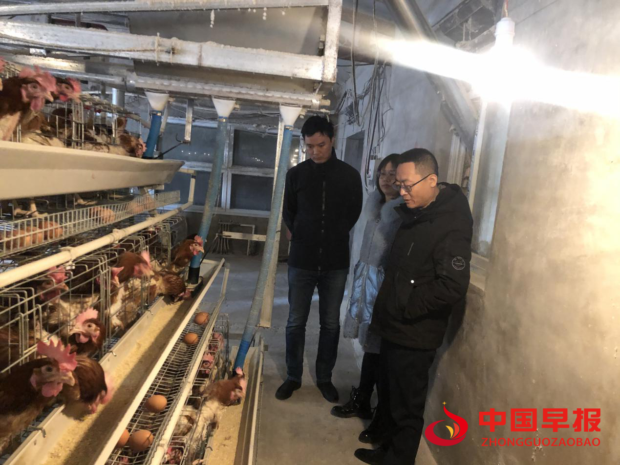 1614327395133395.png 图片02.png