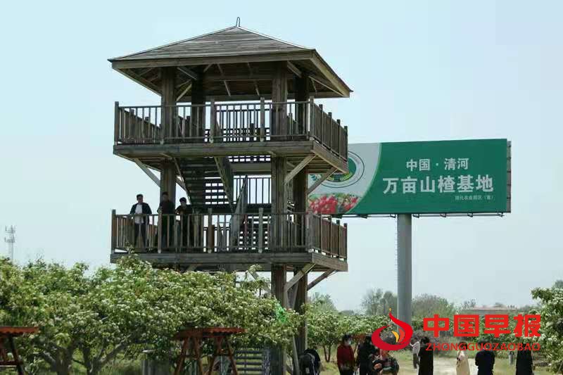 1619758767463523.jpg 1619758767463523.jpg