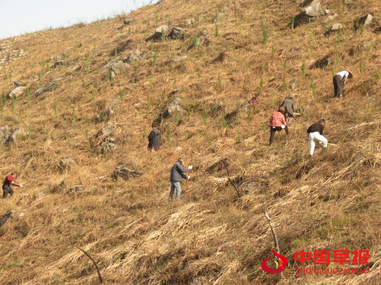 1623394675751389.jpg 5.jpg