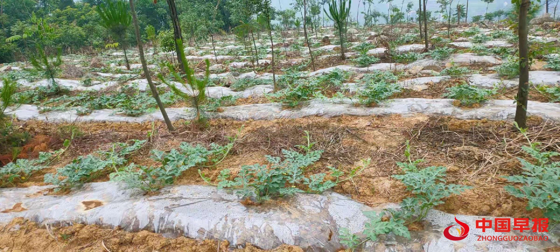 1623394746373191.jpg 微信图片_20210611145509.jpg