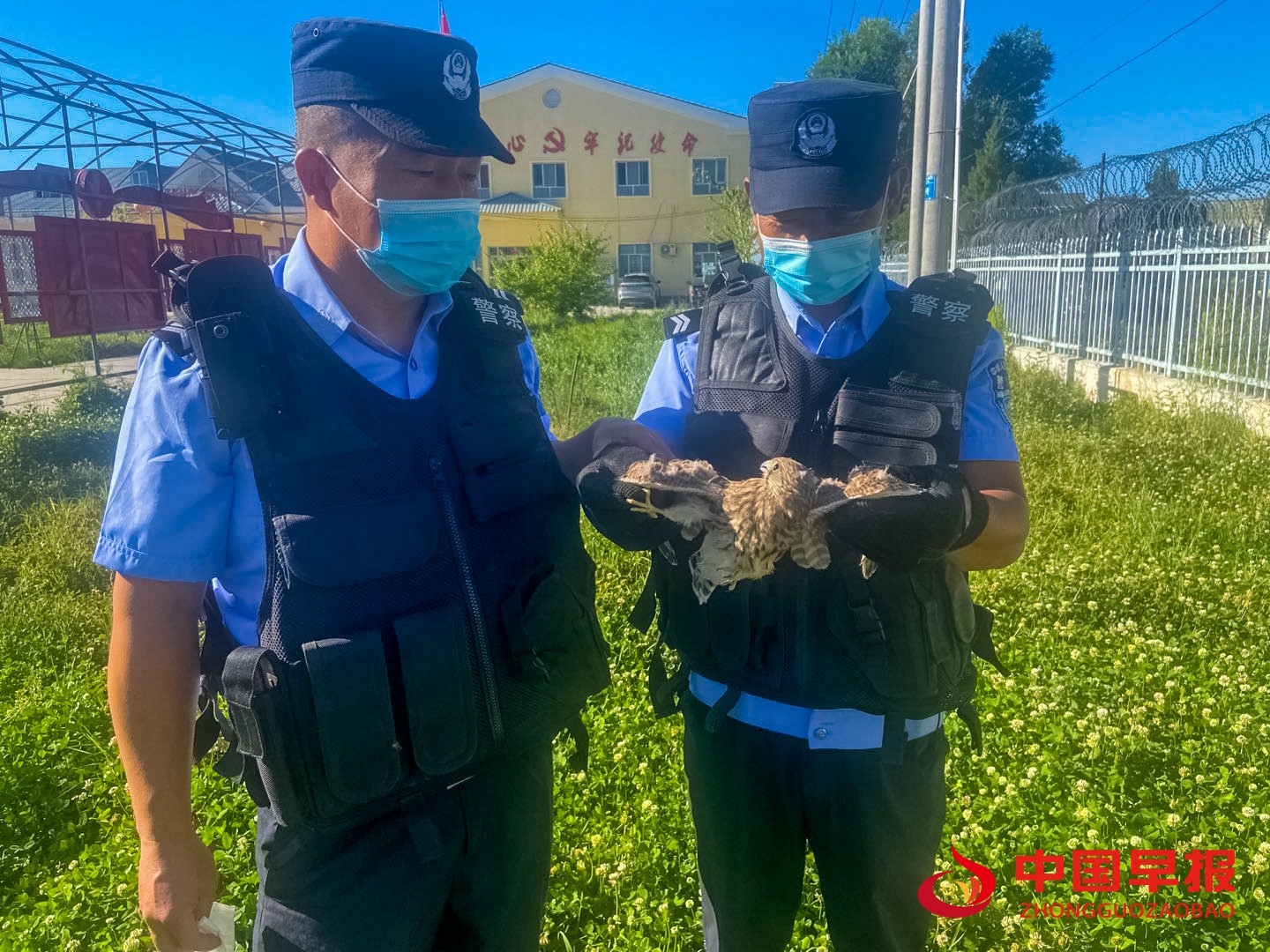 1623904219703252.jpg 222.jpg