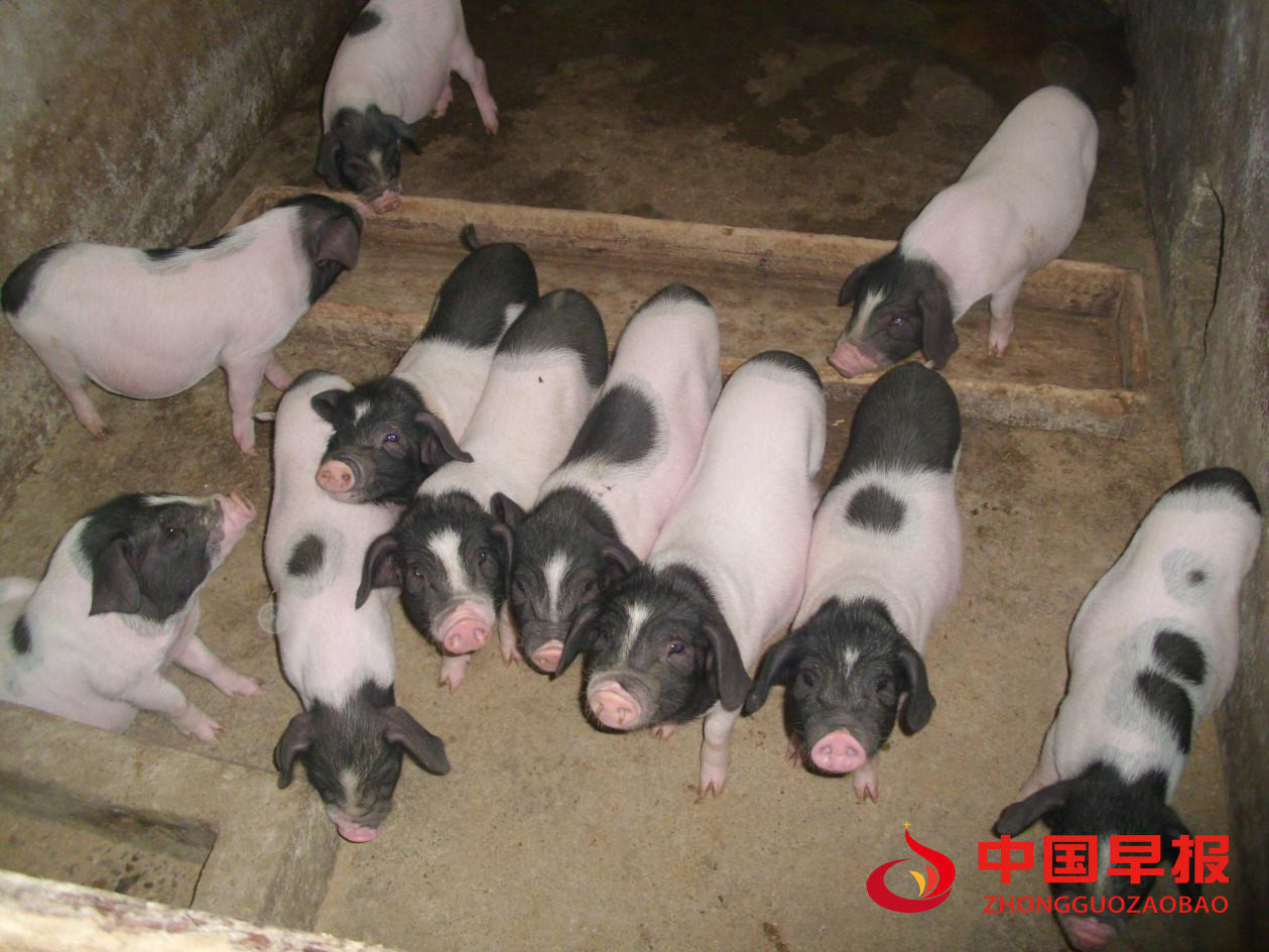 1624439312196784.png 图片1.png