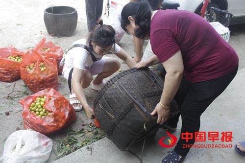 1624719323520464.jpg _MG_4585_副本_副本.jpg