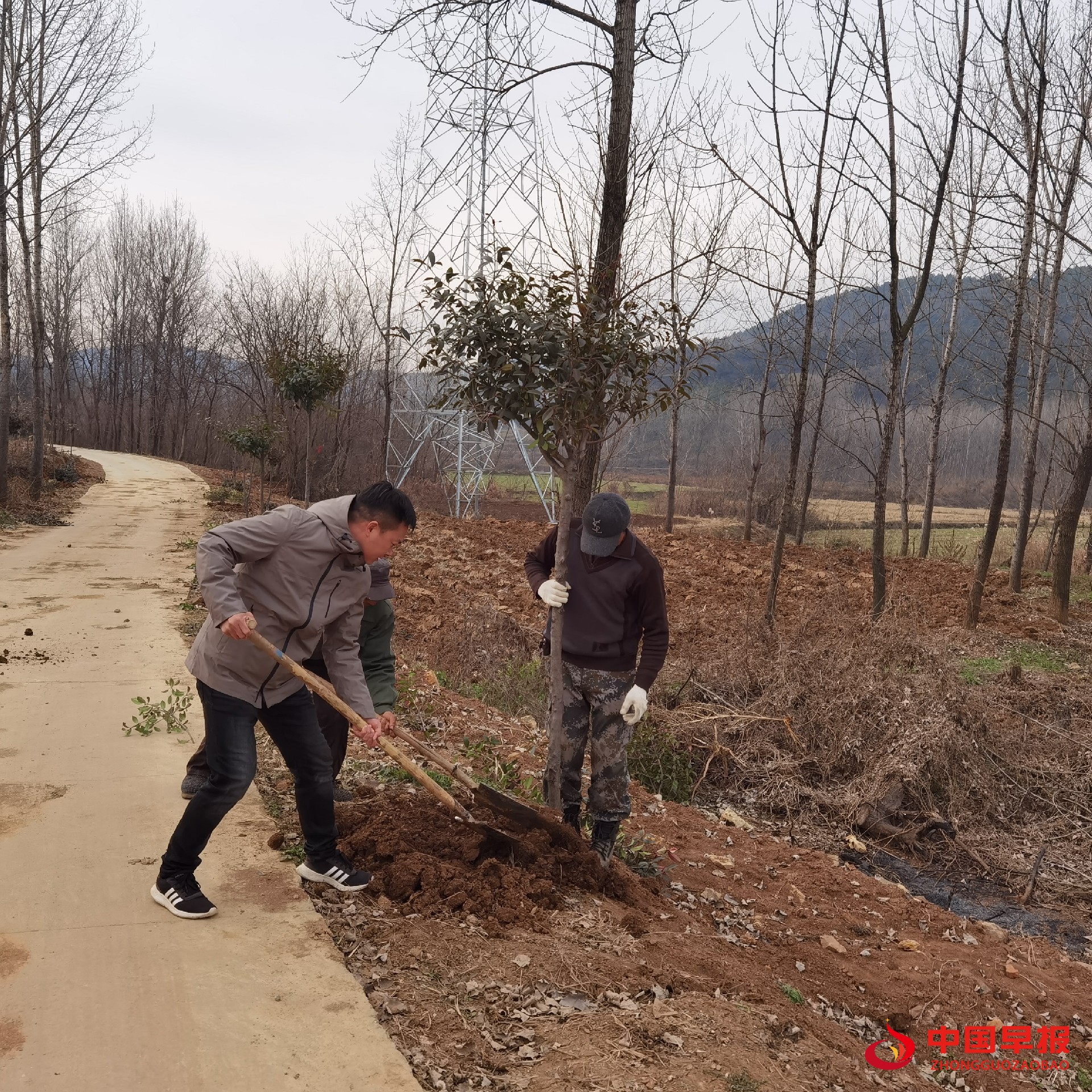 1625186361193896.jpg 1625186361193896.jpg