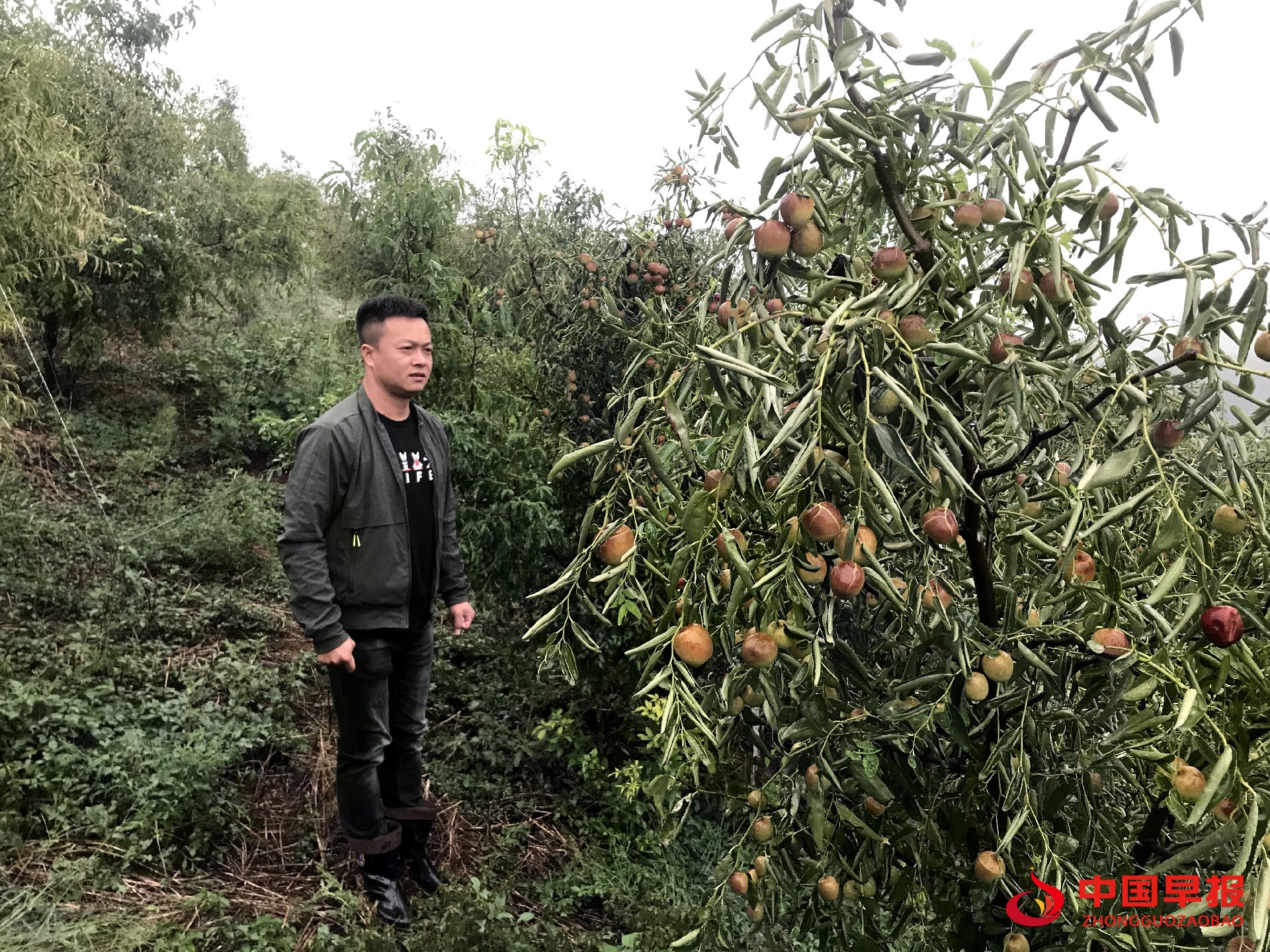 1625186403128189.jpg 1625186403128189.jpg