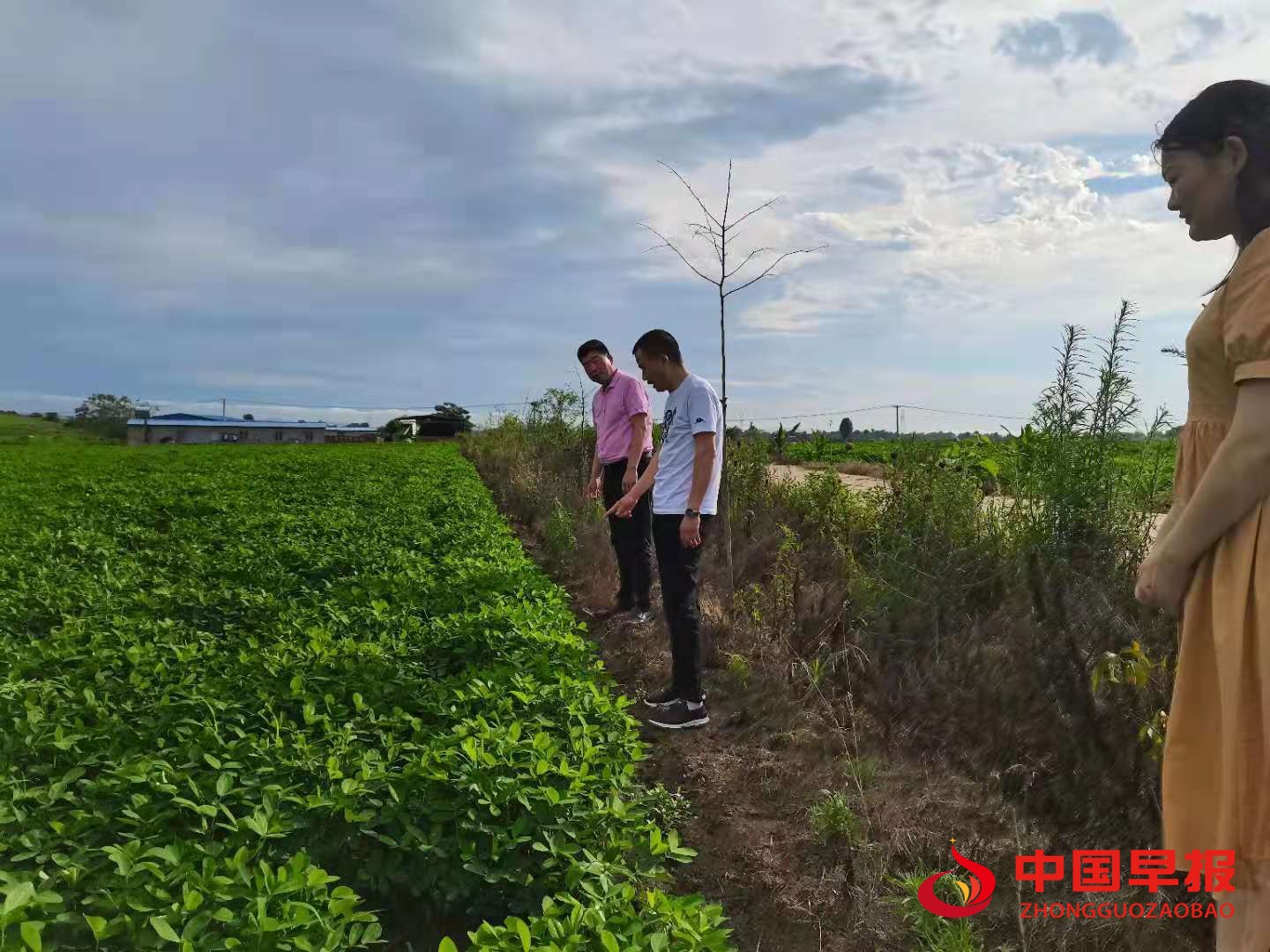 1625783511128006.jpg 1625783511128006.jpg