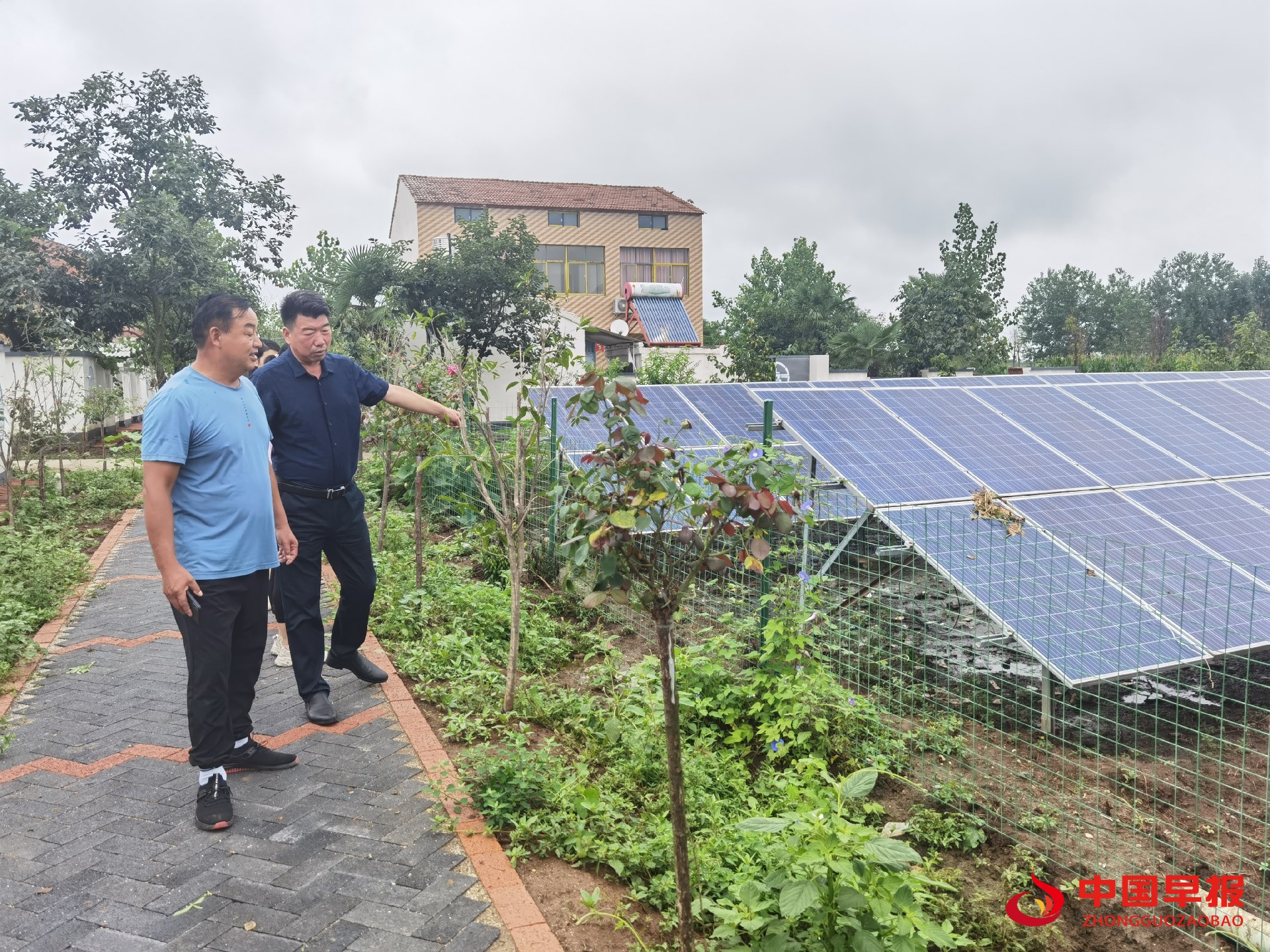 1625783585177137.jpg 1625783585177137.jpg