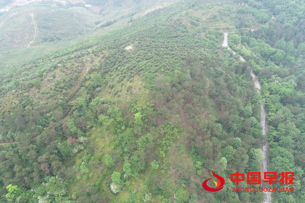 1625899696103318.jpg 微信图片_20210709162824.jpg