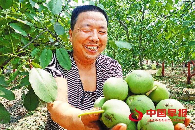 图片04.jpg