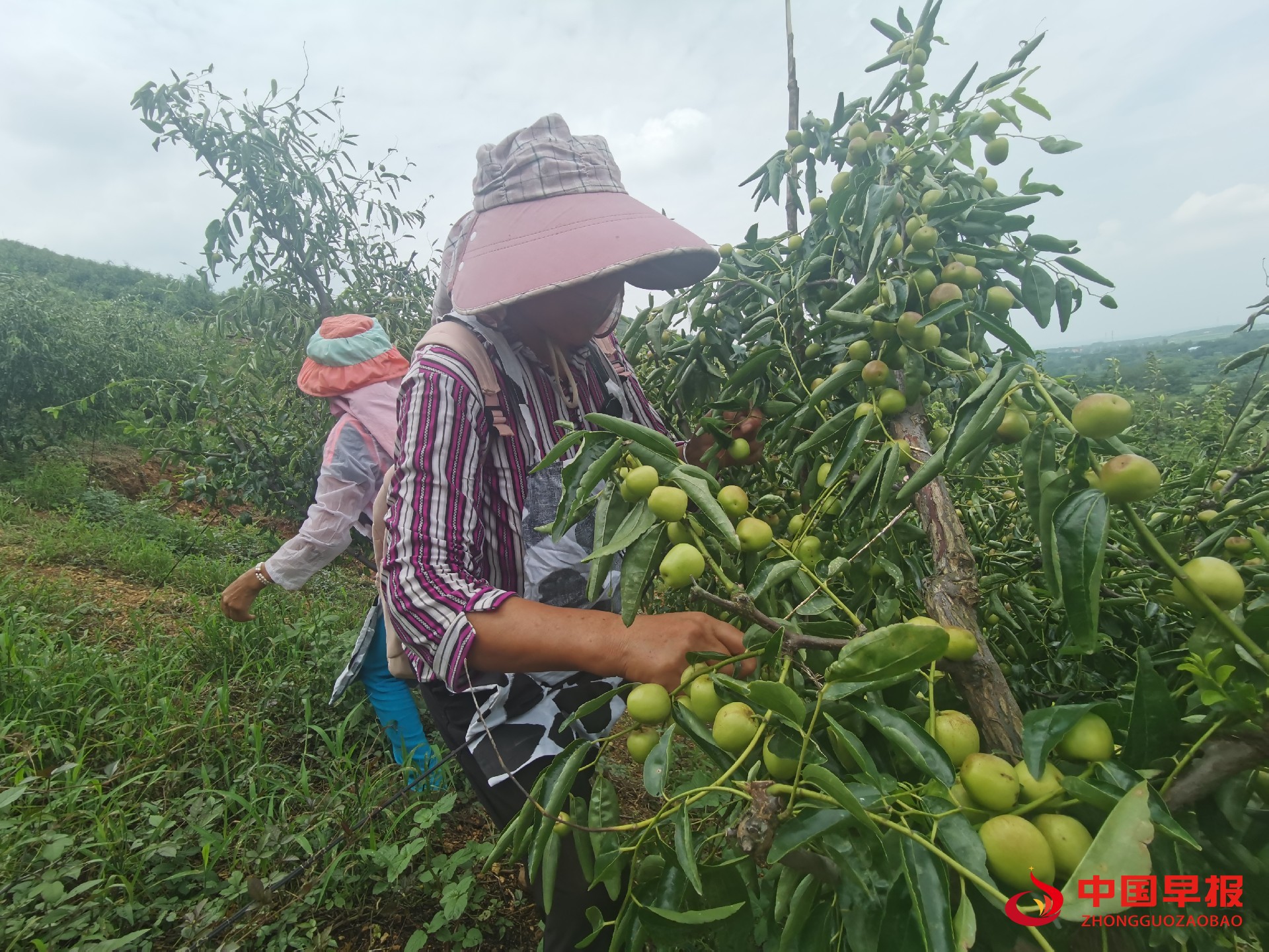 1630635946617898.jpg 1630635946617898.jpg