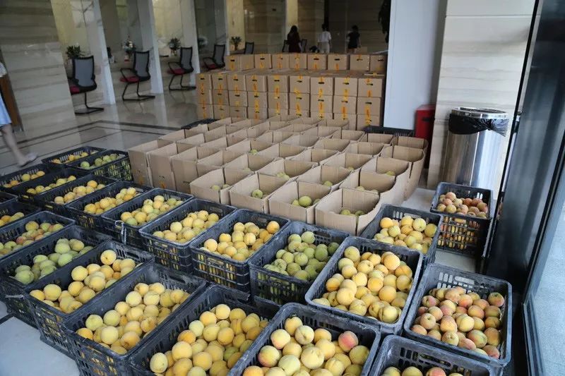 1631441537565518.jpeg 图片01.jpeg