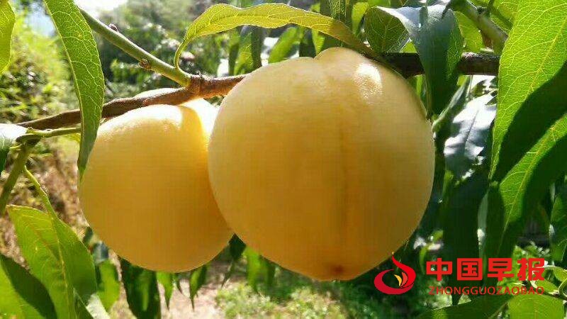 1631441615437862.jpg 图片03.jpg