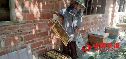 1631446947561354.jpg C_副本.jpg