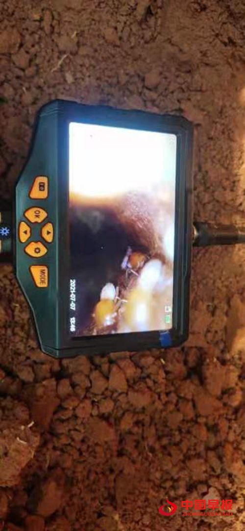 1632100485149774.jpg 7_副本.jpg