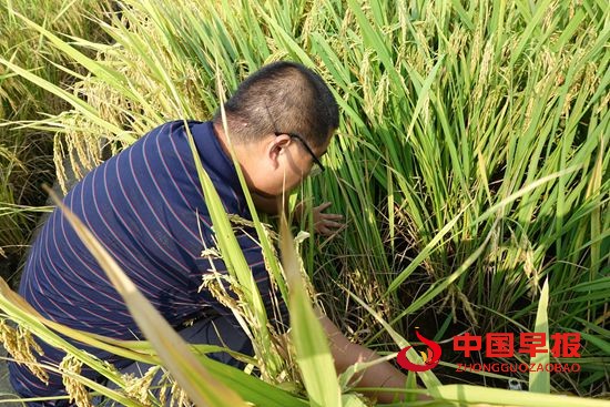 1632300043166336.jpg 微信图片_20210922162151.jpg