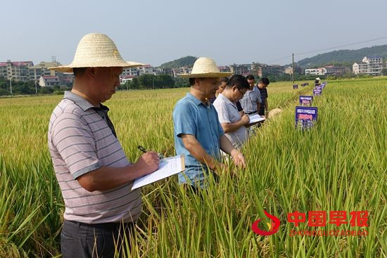 1632300072399729.jpg 微信图片_20210922162210.jpg